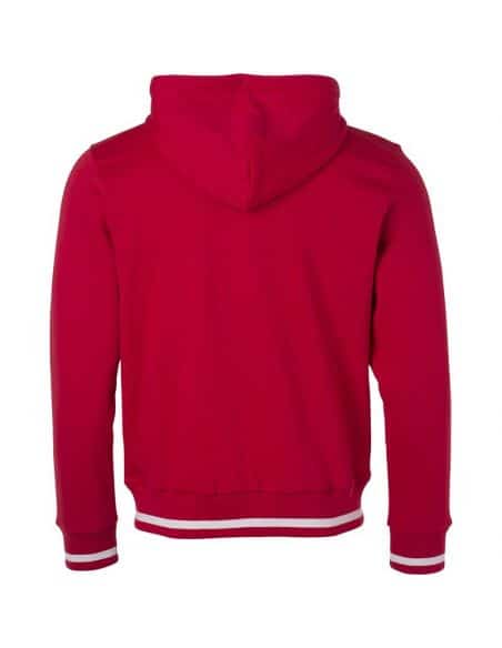 James & Nicholson Men's Premium Cotton Hooded Sweatshirt with Zip Lining